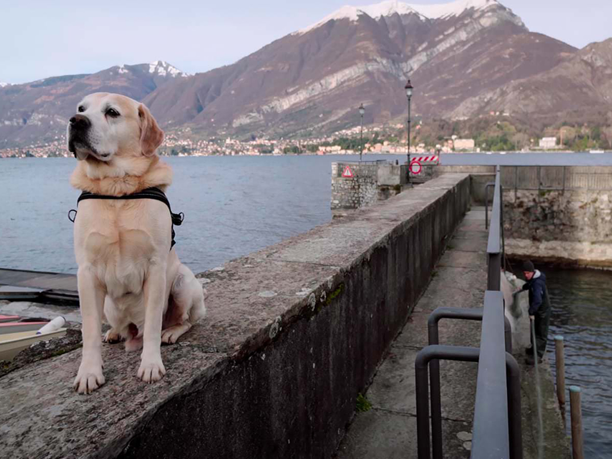Il lungolago di San Giovanni, sorvegliato da un cane di casa